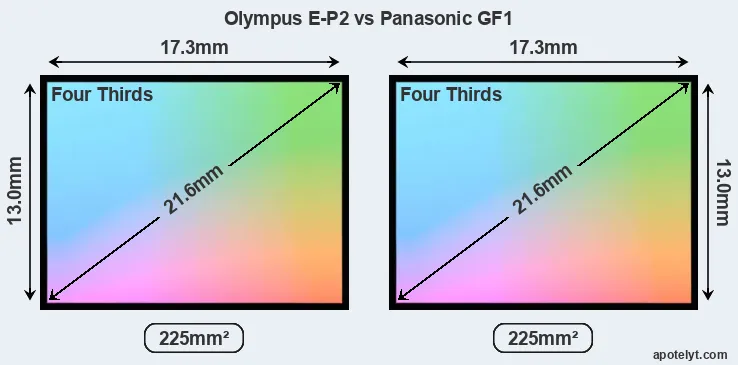 Olympus E-P2 and Panasonic GF1 sensor measures