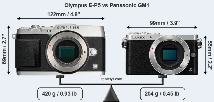 Size Olympus E-P5 vs Panasonic GM1