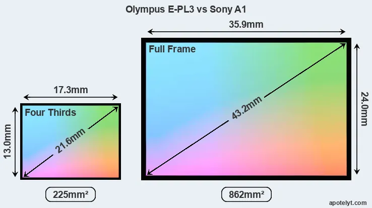 Olympus E-PL3 and Sony A1 sensor measures