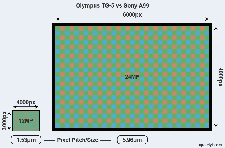 TG-5 versus A99 MP