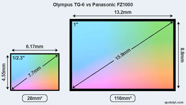 Olympus TG-6 and Panasonic FZ1000 sensor measures