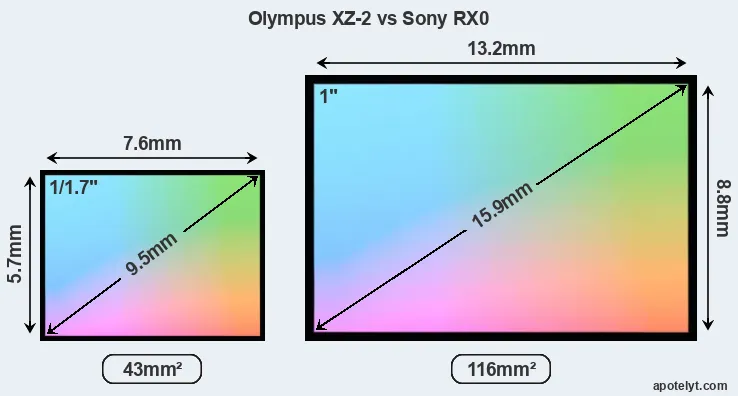Olympus XZ-2 and Sony RX0 sensor measures