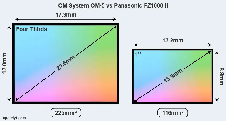 OM System OM-5 and Panasonic FZ1000 II sensor measures