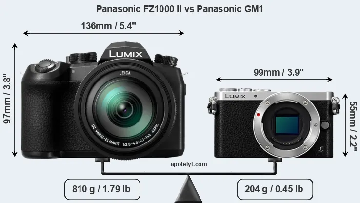 Size Panasonic FZ1000 II vs Panasonic GM1