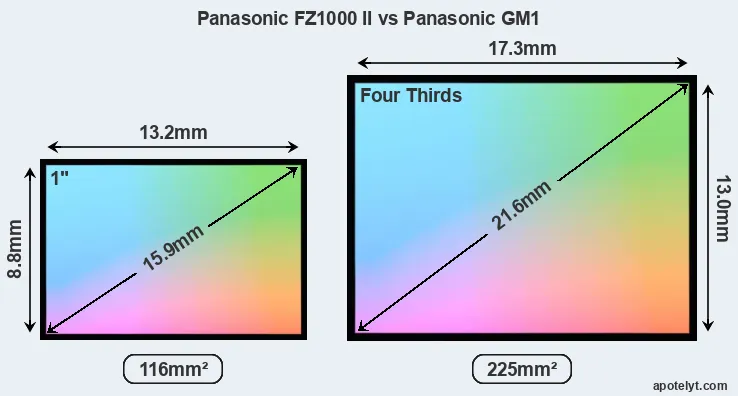 Panasonic FZ1000 II and Panasonic GM1 sensor measures