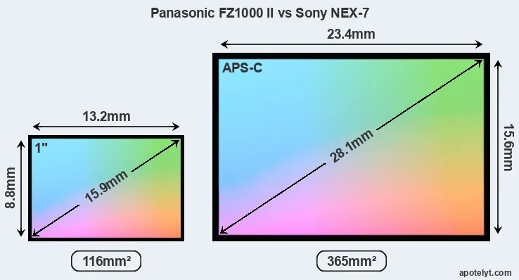 Panasonic FZ1000 II and Sony NEX-7 sensor measures