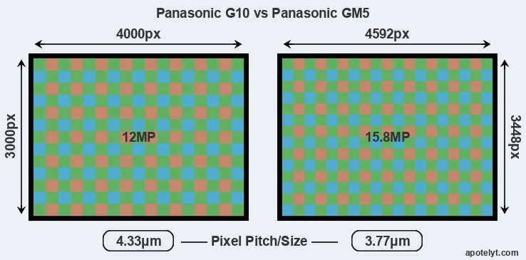 G10 versus GM5 MP
