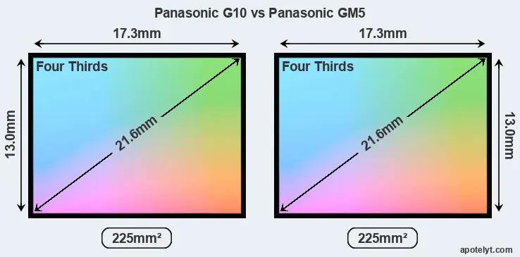 Panasonic G10 and Panasonic GM5 sensor measures