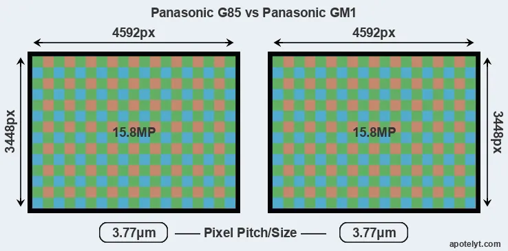 G85 versus GM1 MP