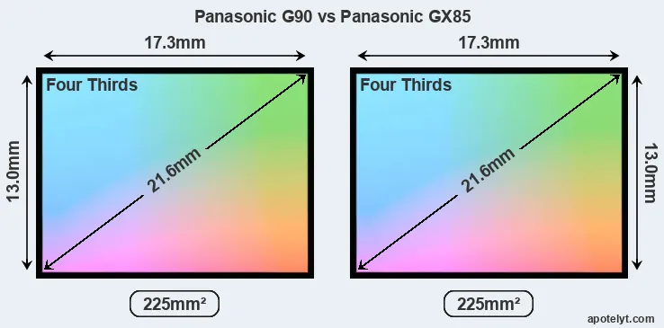 Panasonic G90 and Panasonic GX85 sensor measures
