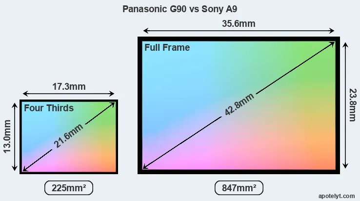 Panasonic G90 and Sony A9 sensor measures