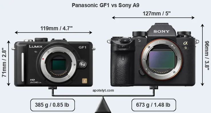 Size Panasonic GF1 vs Sony A9