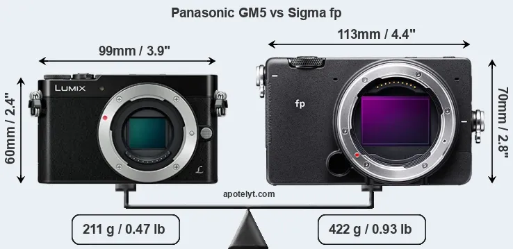 Size Panasonic GM5 vs Sigma fp