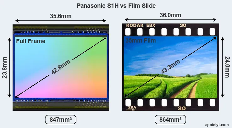 Panasonic S1H and Credit Card sensor measures