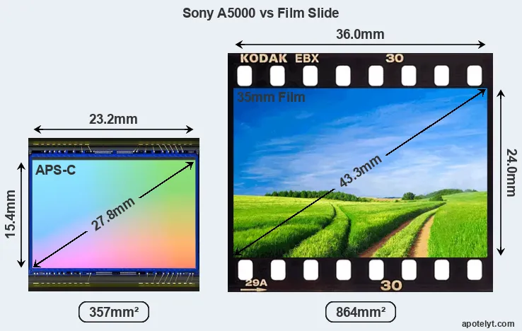 Sony A5000 sensor measures