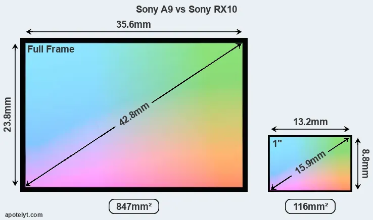 Sony A9 and Sony RX10 sensor measures
